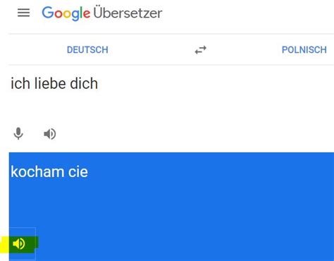 polnisch auf deutsch übersetzen|tlumaczmacz google polsko niemiecki najlepszy.